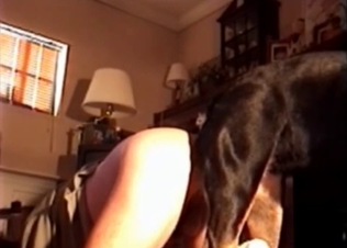 Gorgeous ass to ass bestiality sex with my dog