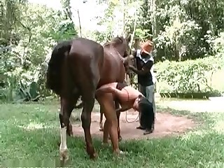 Beastiality addicted slut and gorgeous stallion